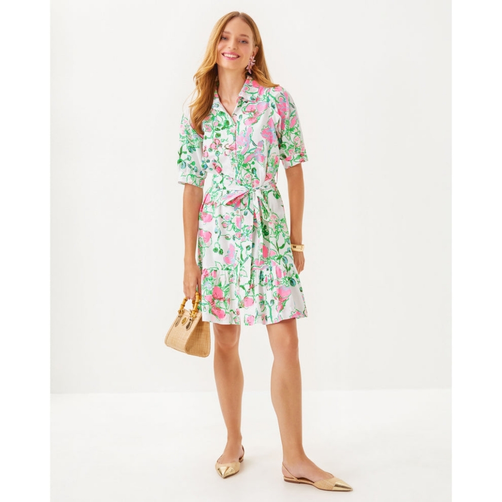 NWT Lilly Pulitzer Sashria Dress - 10 - Picture 3 of 5